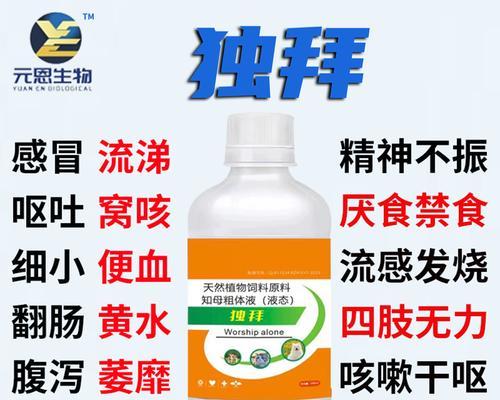 狗狗咳嗽又吐，该如何处理？（选择合适的药物进行治疗，帮助宠物恢复健康）