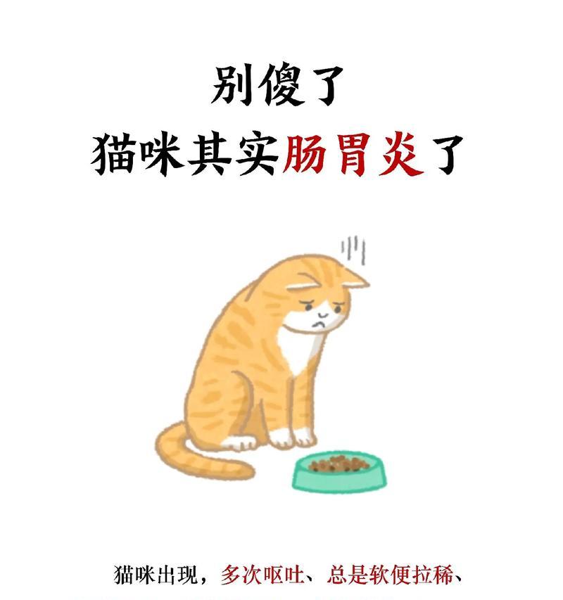 猫频繁呕吐的原因及应对措施（了解猫呕吐的常见原因与处理方法，让它健康快乐）
