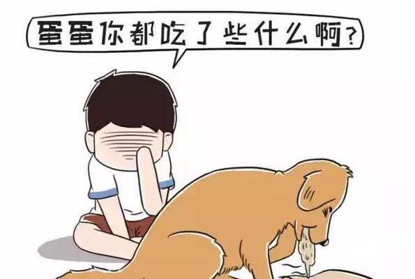 为什么狗狗一直想吐？（探究狗狗频繁呕吐的原因及应对方法）
