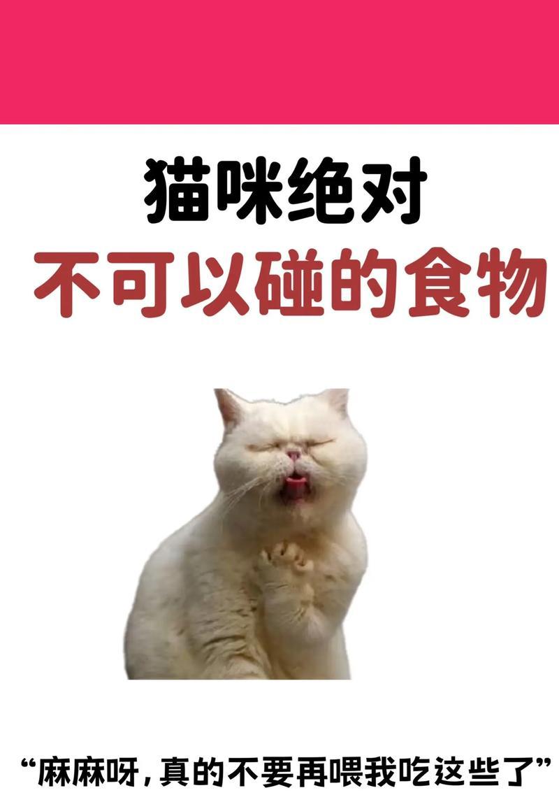 猫咪怀孕期间的饮食需知（哪些食物适合猫咪怀孕期间食用？）