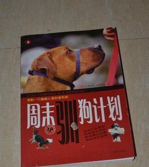 训狗的最佳时机及方法（解析训狗的最佳时机和有效方法，帮助主人轻松训练宠物狗）