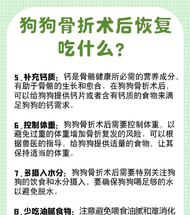 狗狗的水果饮食（探索狗狗最适合食用的水果种类和注意事项）
