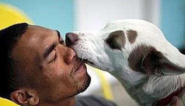 为什么狗狗喜欢舔主人的嘴？（探寻狗狗舔嘴行为的原因与动机）