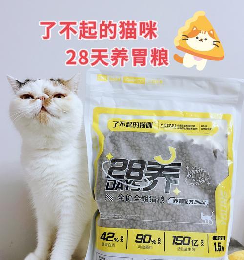未满月的猫咪需谨慎用药（保护小猫健康的关键是正确用药）