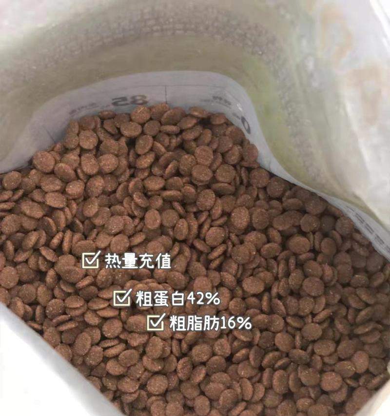 探究猫为何拉屎特别臭（猫的排泄物臭味来源及相关原因分析）