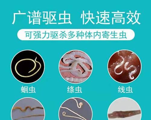 金毛20天吃什么驱虫药？（了解金毛幼犬驱虫需知，科学喂养更健康）