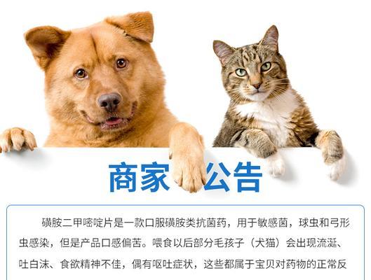 小狗感染弓形虫时，应该吃什么药？（详解小狗感染弓形虫后的药物治疗方案）