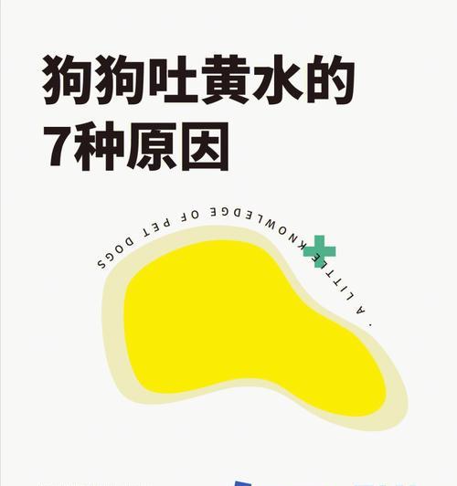 小狗的肠胃不能吃的食物（了解宠物食品安全，保护小狗肠胃健康）