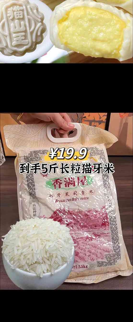 幼猫长牙齿时的饮食需求（为您的幼猫提供适宜的食物帮助它健康成长）