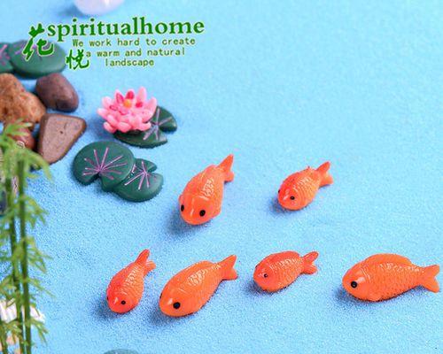 小鱼缸的理想居住鱼种选择（适合小鱼缸养殖的10种热带鱼及其特点）