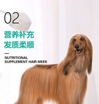 以灰泰迪增毛吃什么？（探索灰泰迪毛发增长的饮食秘诀）