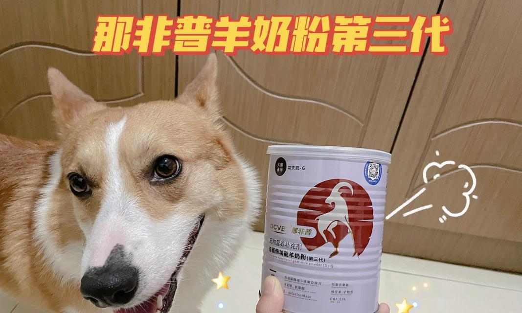 狗狗拉肚子治愈后的饮食恢复计划（为你的宠物提供适当的食物，促进健康恢复）