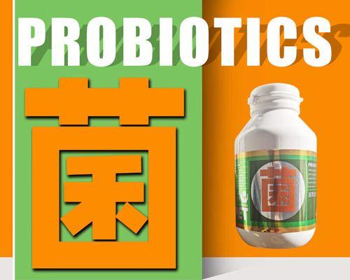 老狗消食片的选择与使用（老狗饮食调理的关键及消食片使用注意事项）