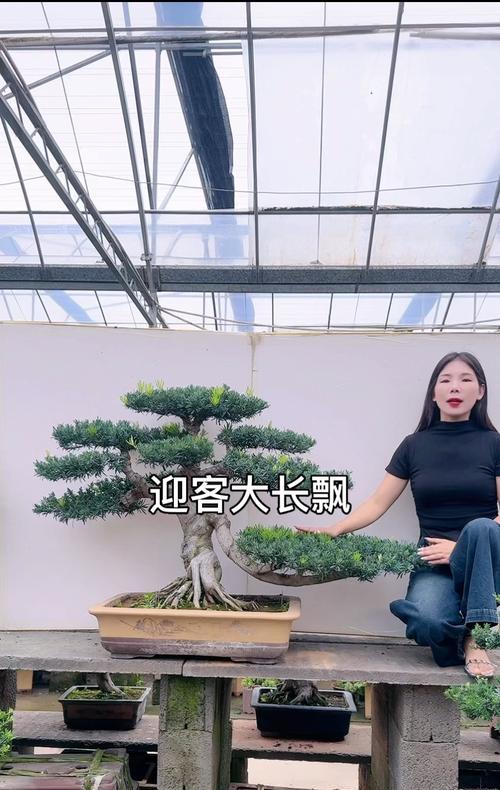 以罗汉跟什么混养好？（选择合适的伙伴是罗汉鱼健康生活的关键）