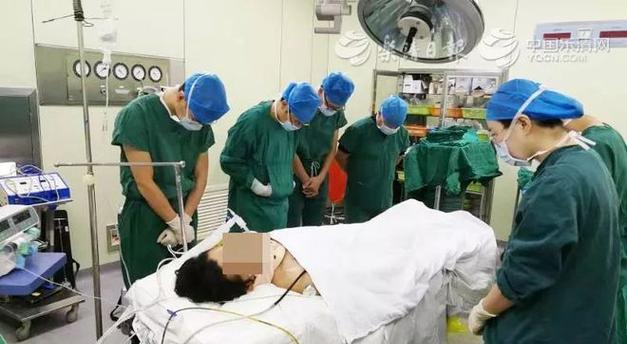 小狗摔伤内脏的症状及处理方法（小狗内脏受伤，你应该知道的关键信息）