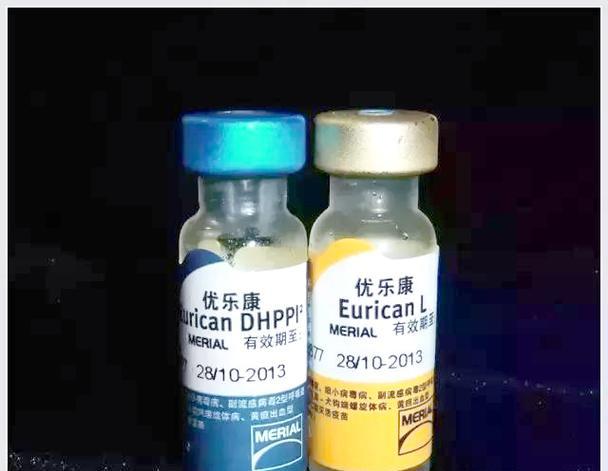 六联狗疫苗的接种时间间隔（了解六联狗疫苗接种的最佳时间间隔）