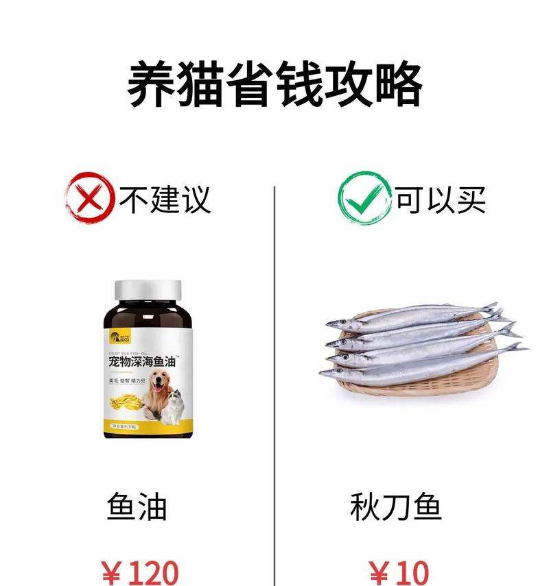 猫营养不良的症状及饮食调理方法