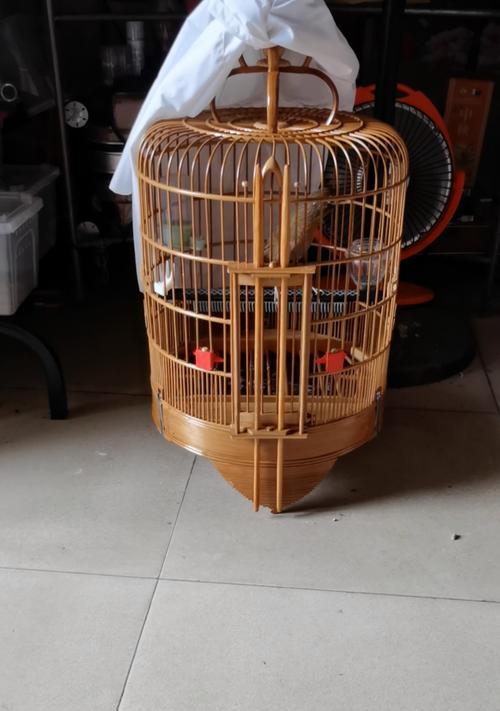 画眉鸟养几个月能卖到高价？（探究画眉鸟养殖时间与市场价值的关系）