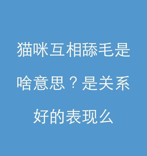 小猫舔肛门的频率及原因分析（探讨小猫舔肛门的行为习惯和健康问题）