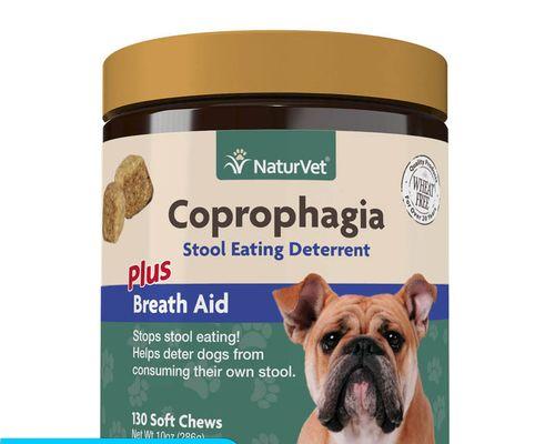 狗狗缺乏维生素如何补充？（维生素补充对狗狗健康的重要性）