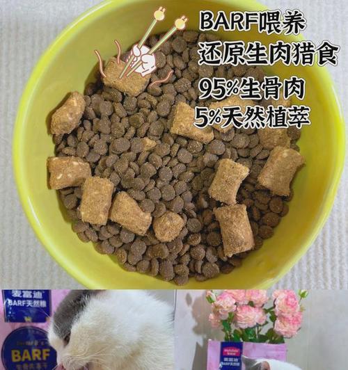 以猫皮屑多吃什么食物好（解决猫皮屑问题的饮食调整）