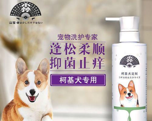 柯基犬洗澡全攻略（选择适合柯基犬的洗澡水和注意事项）