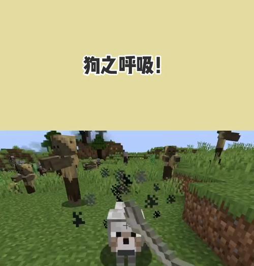 小狗喘气声音的原因（探究小狗喘气声音背后的原因和可能的健康问题）