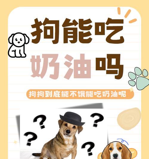 母狗的饮食需求（为新妈妈提供健康饮食）