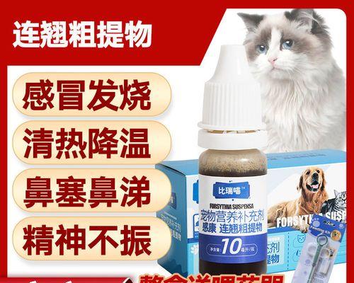 狗狗流鼻涕咳嗽，如何选择合适的药物治疗？（了解常见的狗狗感冒症状，及时采取有效治疗措施）