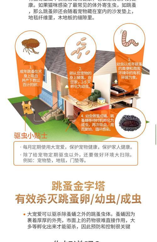 猫驱虫药的见效时间及（了解猫驱虫药见效的时间及其重要性）