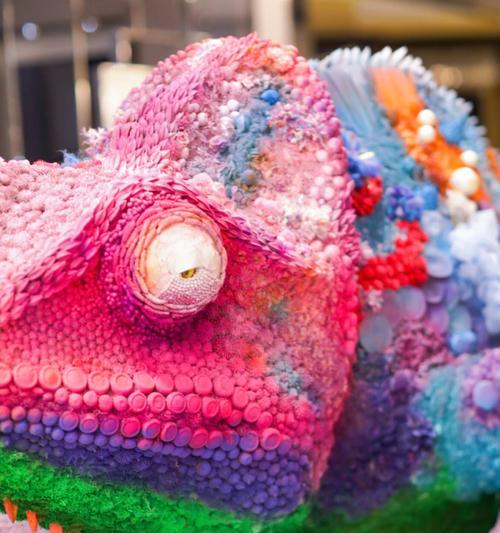 探秘高冠变色（高冠变色的食物喜好与健康益处）