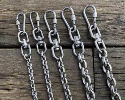 以德牧栓什么链子？（探寻最适合德牧的栓链类型）