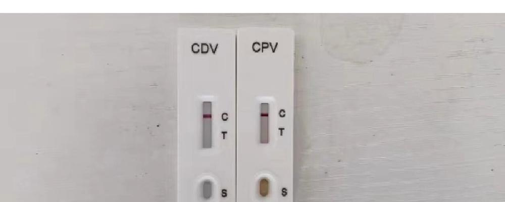 如何治疗狗狗犬瘟引起的腹泻？（药物治疗是关键，适当饮食也很重要）