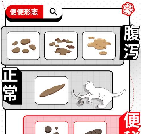 探究狗便秘的原因及解决方法（为什么狗会便秘以及如何帮助它们恢复正常排便）