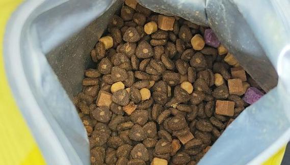 小狗为什么要泡狗粮？（探究小狗泡狗粮的原因及好处）