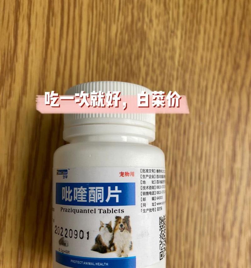 猫咪感染绦虫的原因及预防措施（了解猫咪感染绦虫的主要途径和如何保护它们的健康）