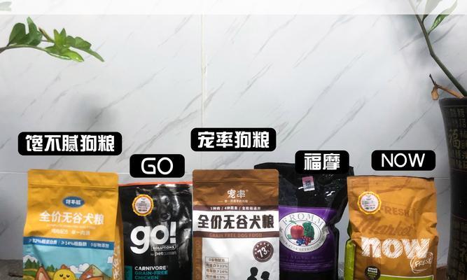 柯基毛为什么会变黄？（探究柯基毛变黄的原因及预防方法）