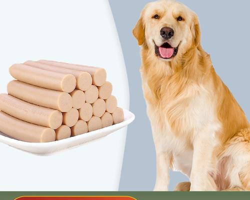 如何科学合理地给2个月金毛犬安排饮食？（金毛犬2个月时的饮食要点和注意事项）