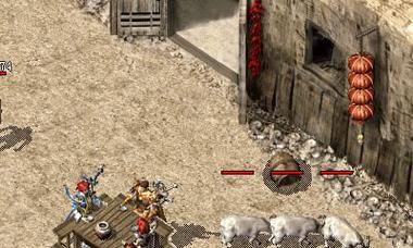 金毛公的发情期