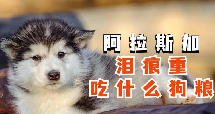 两个多月大的阿拉斯加吃什么？（如何科学合理地为小狗提供营养？）