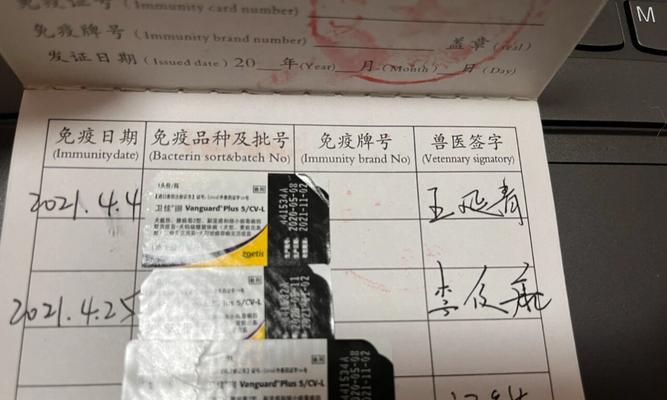 狗狗健康护理（详细解析狗狗出生后的预防针接种计划）