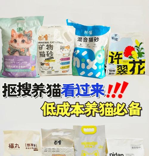 养猫必备（从亲身经验出发，探讨最适合养猫的猫砂选择）