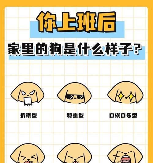 挑战家居安宁的顽皮狗狗大揭秘（以哪些狗狗最能拆家？）