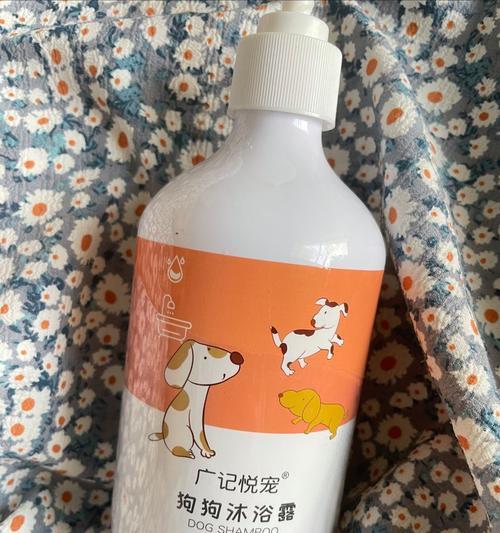 泰迪冬季洗澡频率多久合适？（泰迪洗澡，关键是保持干净与健康！）