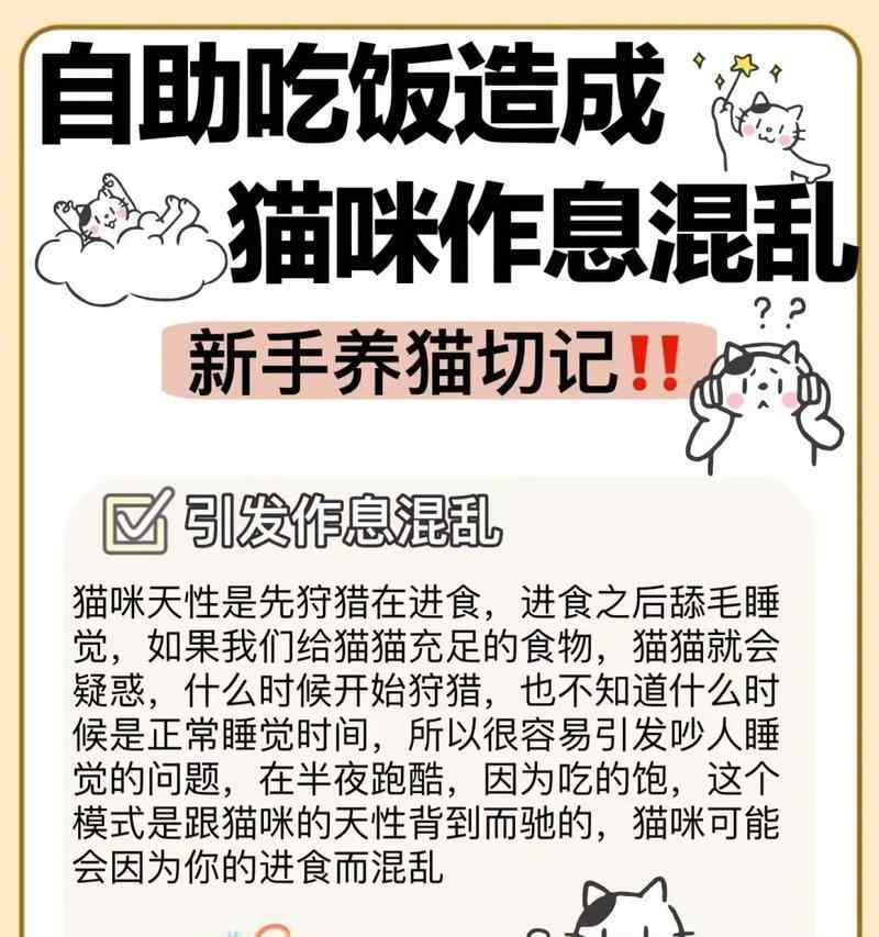 猫咪放养多久合适？（了解猫咪放养时间的重要性和注意事项）