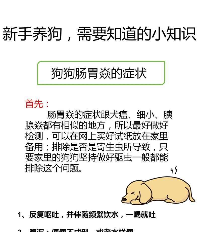 爱犬驱虫后出现不良反应，主人应注意的三要点（牢记不可盲目喂药，保护宠物的健康）