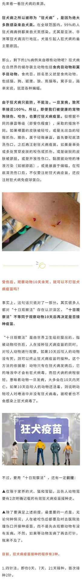 狗的狂犬疫苗免疫周期的关键因素（探究狂犬疫苗对狗的免疫力持续时间和关键影响因素）