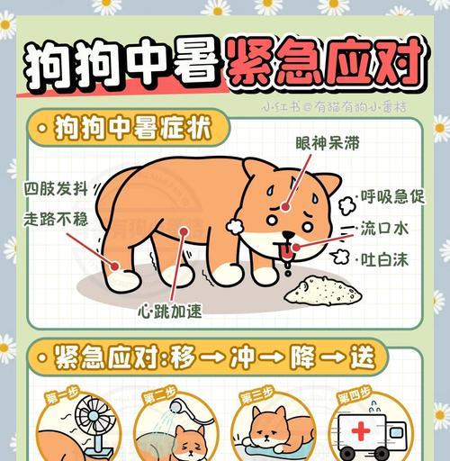 狗狗中暑需要多久好？（了解狗狗中暑的康复时间和注意事项）