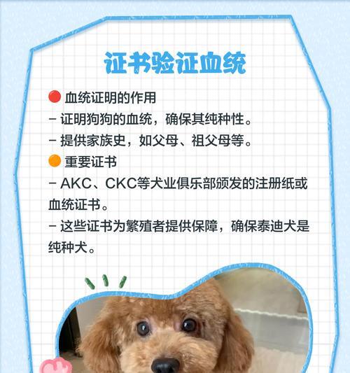 泰迪犬的配种周期与时间（了解泰迪犬配种的时间和周期有助于繁殖者的决策）