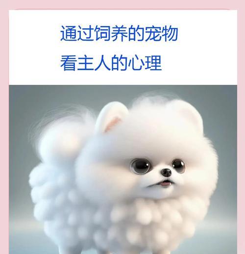 以人型犬（从金毛到边境，认识不同品种的以人型犬）